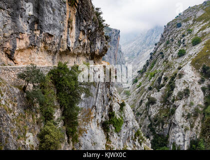 Livello alto sentiero intagliato nella roccia a strapiombo faccia della Gola di Cares una profonda e spettacolare canyon che corre attraverso il Picos de Europa nel nord della Spagna Foto Stock