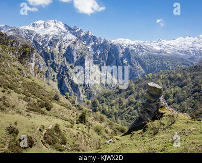 Vista della frastagliata Collau los Buitres dall'alto alp di Pandescura in Picos de Europa Mountains del nord della Spagna vicino Bobia Foto Stock