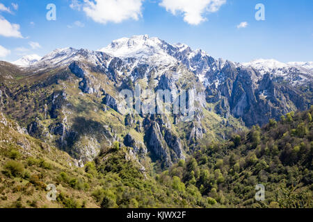 Vista della frastagliata Collau los Buitres dall'alto alp di Pandescura in Picos de Europa Mountains del nord della Spagna vicino Bobia Foto Stock