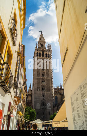 La Giralda, il campanile della cattedrale di Santa Maria del vedere, costruito come un minareto della moschea, 1184, Siviglia, in Andalusia, Spagna Foto Stock