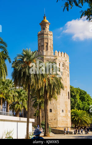 Torre de Oro, 1221, e il fiume Guadalquivir waterfront, Siviglia, in Andalusia, Spagna Foto Stock