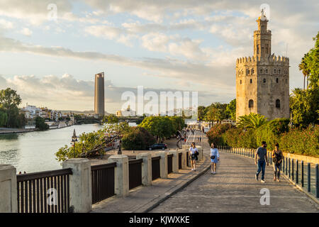 Torre de Oro, 1221, e il fiume Guadalquivir waterfront, Siviglia, in Andalusia, Spagna Foto Stock