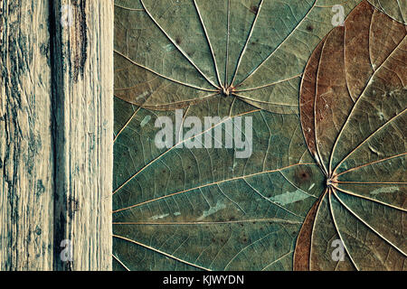 Vecchio foglie essiccate con legno naturale sfondo astratto, dai toni di colore. Foto Stock