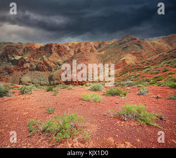 Paesaggio di piante nel deserto rosso con le montagne e il cielo nuvoloso sfondo Foto Stock