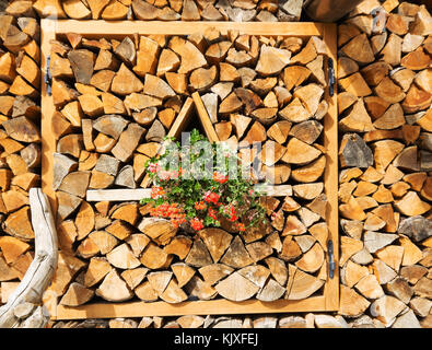 In legno naturale, background closeup di legna da ardere spaccati. Legna da ardere impilati e preparati per l'inverno pila di ciocchi di legna Foto Stock