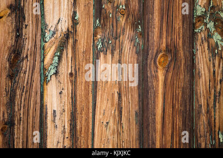 La texture del vecchio woden porta ad una fattoria abbandonata casa in tankwa karoo del sud africa Foto Stock