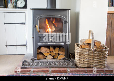 Calde fiamme di fuoco bruciando i registri in ClearView multifuel domestico stufa bruciatore interno home, REGNO UNITO Foto Stock