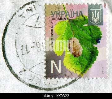 GOMEL, BIELORUSSIA, 20 NOVEMBRE 2017, Stamp stampato in Ucraina mostra l'immagine del Mulberry, circa 2013. Foto Stock