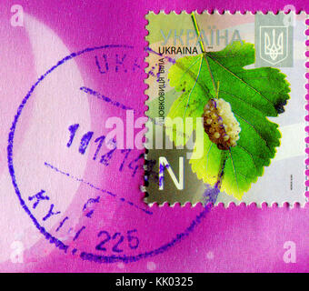 GOMEL, BIELORUSSIA, 20 NOVEMBRE 2017, Stamp stampato in Ucraina mostra l'immagine del Mulberry, circa 2013. Foto Stock