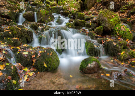 Fotografia paesaggio di yedigoller cade nel yedigoller national park di Bolu,Turchia. Foto Stock