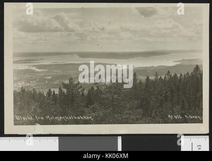 Questa fotografia cattura una vista panoramica dal trampolino di salto con gli sci di Holmenkollen a Oslo, Norvegia, mostrando il paesaggio circostante e il paesaggio urbano. Rappresenta un famoso punto di riferimento norvegese noto per il suo significato storico negli sport invernali. Foto Stock
