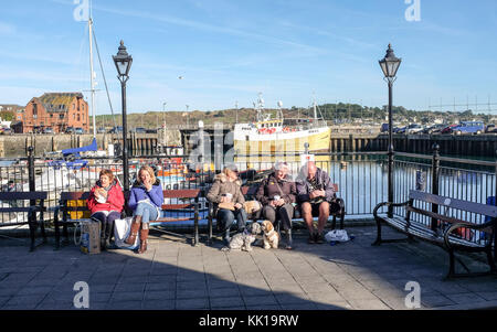 I visitatori godere seduti vicino al porto a Padstow Cornwall Regno Unito fotografia scattata da simon dack Foto Stock