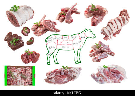 Tutto il disegno di montone nel pezzo grezzo e pezzi di carne di agnello su sfondo bianco Foto Stock