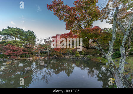 Momiji (acero) i colori autunnali, la caduta delle foglie pond riflessioni a Maruyama park (Maruyama-Kouen) Situato vicino il santuario Yasaka, Kyoto, Giappone Foto Stock