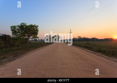 Brasiliano della strada sterrata in prospettiva. Famosi brasiliani Transpantaneira strada sterrata. Area Pantanal, Brasile Foto Stock