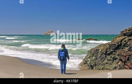 Costa watcher su trinidad state Beach in California Foto Stock