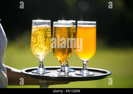 Chiudere l immagine di un cameriere carring una selezione di birre artigianali versata in bicchieri su un vassoio con un incredibile luce posteriore. Foto Stock