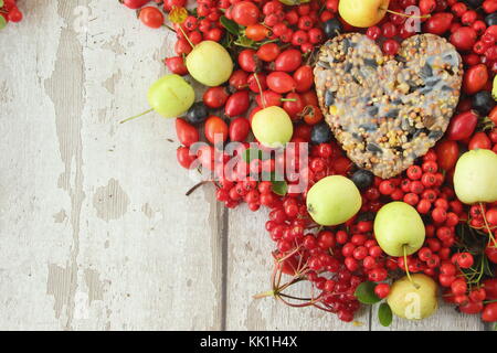 A forma di cuore ad bird feeder realizzato con semi e grasso fuso, sagomato in un cookie cutter, decorata con uccelli selvatici cibo: rosa canina, bacche e mele di granchio Foto Stock