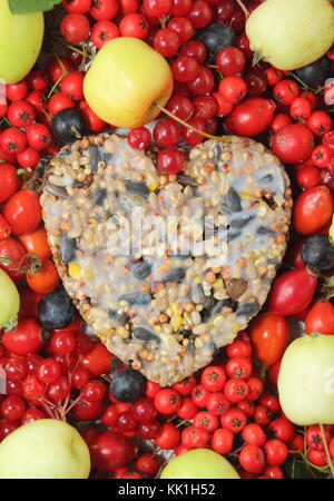 A forma di cuore ad bird feeder realizzato con semi e grasso fuso, sagomato in un cookie cutter, decorata con uccelli selvatici cibo: rosa canina, bacche e mele di granchio Foto Stock