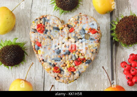 A forma di cuore ad bird feeder fatta con le bacche selvatiche, le sementi e il grasso fuso, sagomato in un cookie cutter, decorata con frutti di bosco, granchio mele e girasoli Foto Stock
