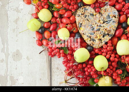 A forma di cuore ad bird feeder realizzato con semi e grasso fuso, sagomato in un cookie cutter, decorata con uccelli selvatici cibo: rosa canina, bacche e mele di granchio Foto Stock