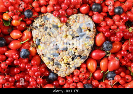 A forma di cuore ad bird feeder realizzato con semi e grasso fuso, sagomato in un cookie cutter, decorata con uccelli selvatici cibo: rosa canina, bacche e mele di granchio Foto Stock