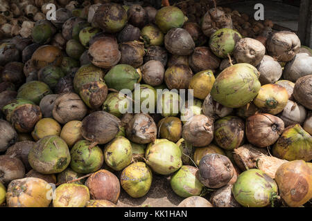 Gusci di noce di cocco in Koh Samui, Thailandia Foto Stock