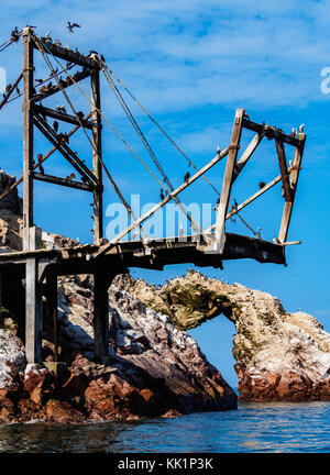 Isole Ballestas vicino a Paracas, regione di ica, Perù Foto Stock