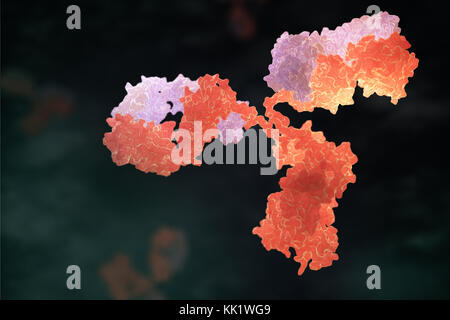 Anticorpo umano (immunoglobuline). 3d illustrazione Foto Stock