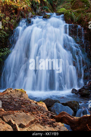 Tom gill: un appartato a cascata Tarn Hows Foto Stock