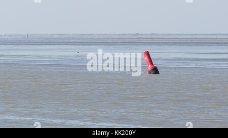 La boa in acqua - waddensea nei Paesi Bassi - Il fuoco selettivo Foto Stock