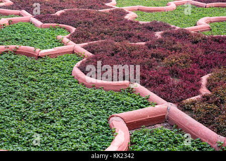 Angoori bagh o giardino dell'uva, al Forte di Agra, India. Foto Stock