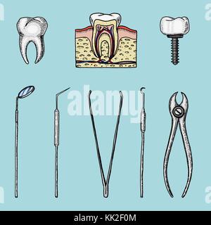 Attrezzature gli strumenti del dentista per dello smalto dei denti, impostare medico. la cavità orale pulire o malati. salute o carie umano. incisi disegnati a mano nel vecchio o vintage sketch. medicina, cura per cavità, l'impianto. Illustrazione Vettoriale