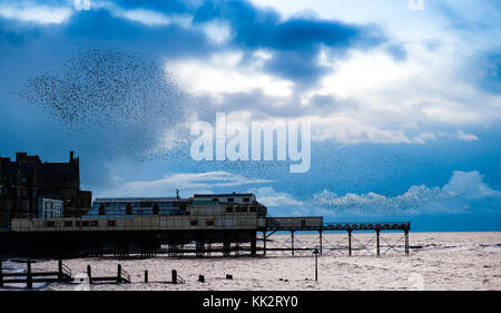 Aberystwyth Wales UK, martedì 28 novembre 2017 Regno Unito Meteo: A freddo, grigio e overcast novembre sera ad Aberystwyth migliaia di stellati in fantastiche 'murature' nel cielo sopra la città, prima di scendere a stabilirsi in masse chattering sulle gambe del molo di mare di epoca vittoriana della città. Gli uccelli poi si accoccolano insieme per il calore e la sicurezza sulle travi e travi sotto i pavimenti del molo. Foto Stock