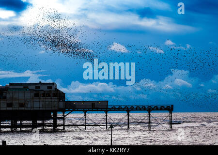 Aberystwyth Wales UK, martedì 28 novembre 2017 uk meteo: a freddo, grigio e nuvoloso novembre serata in aberystwyth migliaia di storni in picchiata in fantastiche 'murmurations' nel cielo sopra la città, prima di scendere a stabilirsi in masse chattering sulle gambe di della città in epoca vittoriana il molo sul mare. Gli uccelli poi huddle insieme per il calore e la sicurezza sulle travi e travi sotto i pavimenti del molo. Foto Stock