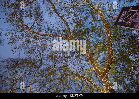 Museo di Storia Naturale di Londra, Regno Unito. 28 Nov, 2017. I pattinatori brave una fredda sera per godere di festosa all'aperto Pattinaggio sul ghiaccio presso il Museo di Storia Naturale di South Kensington sotto le luci fairy. Credito: Malcolm Park/Alamy Live News. Foto Stock