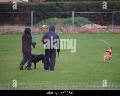 Sheerness, Kent, Regno Unito. 29 Nov, 2017. Regno Unito: Meteo a freddo, grigio e ventoso mattina a Sheerness con un -2 gradi wind chill. Credito: James Bell/Alamy Live News Foto Stock