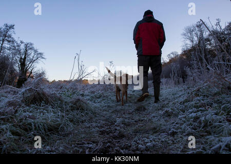 Cardiff, Galles, Regno Unito. 29th Nov 2017. Un uomo cammina il suo cane mentre il freddo colpisce la Gran Bretagna. Picture by Credit: Notizie dal vivo di Mark Hawkins/Alamy Foto Stock