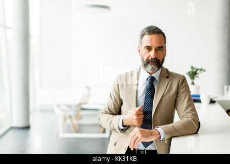 Ritratto di barbuto bello di mezza età imprenditore in office Foto Stock