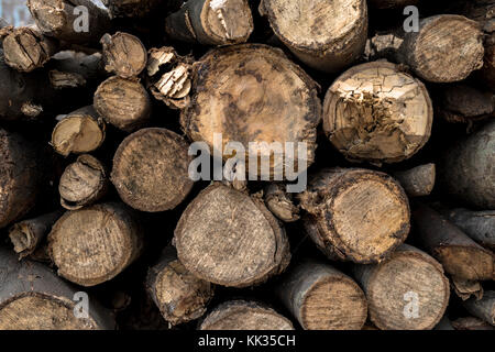 Immagine orizzontale di taglio di legna da ardere per il crematorio in varasani, India. Foto Stock