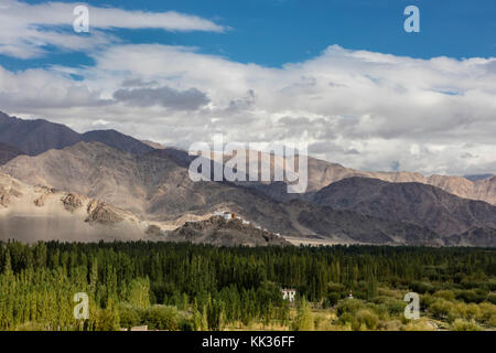 Una vista della VALLE di LEH da SHEY GOMPA - valle di LEH, LADAKH Foto Stock