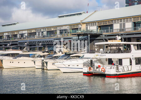 Jones Bay Wharf home a small business e barche di lusso è un ex porto di Sydney, Australia Foto Stock