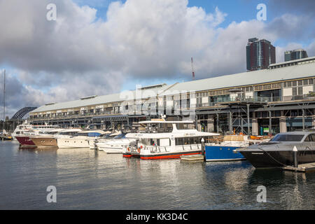 Jones Bay Wharf home a small business e barche di lusso è un ex porto di Sydney, Australia Foto Stock