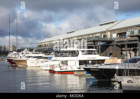 Jones Bay Wharf home a small business e barche di lusso è un ex porto di Sydney, Australia Foto Stock