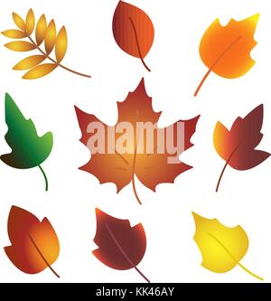 Foglie di autunno set, isolati su sfondo bianco. semplice cartoon Illustrazione Vettoriale