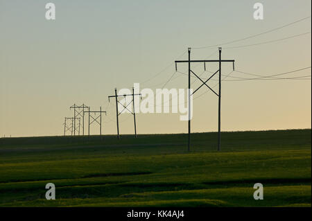 Rurale scena con silhouette di tralicci di energia elettrica su una verde collina contro il cielo al tramonto in flint hills, Kansas, Stati Uniti d'America Foto Stock