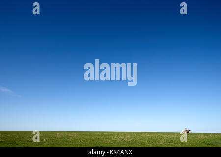 Cowboy a cavallo attraverso il verde prato contro il cielo blu chiaro, Kansas, Stati Uniti d'America Foto Stock