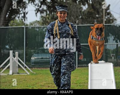 Master-at-Arms Seaman Sharon Berg, un addestratore K-9 con l'unità militare di cani in servizio presso la stazione navale di Mayport, gestisce il suo partner K-9, KKowalski, attraverso un percorso ad ostacoli presso il canile della base, Mayport, Florida, 2012. Per gentile concessione di Mass Communication Specialist Seaman Damian Berg/US Navy. Foto Stock