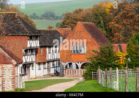 Il Weald and Downland Open Air Museum, Singleton, West Sussex. Foto Stock
