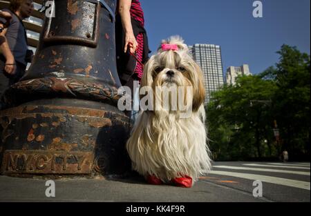 Brooklyn Bridge di new york - 26/05/2012 - La coquette e lampione - sylvain leser / le pictorium Foto Stock